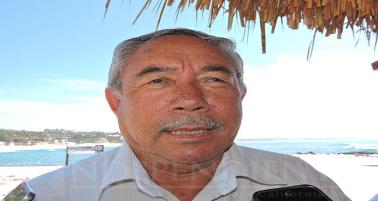 Desarrollo Rural, Turismo y SCT trabajan para resolver tema de ganado en la carretera