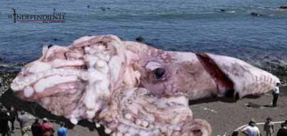 ¿Sabes detectar las noticias falsas? Aquí te decimos cómo.