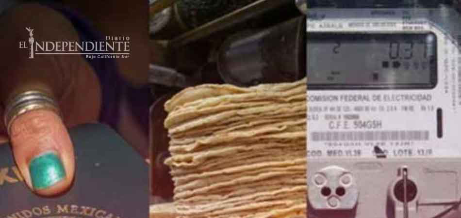 Profeco va contra quien eleve precios de tortilla, huevo… por ‘gasolinazo’