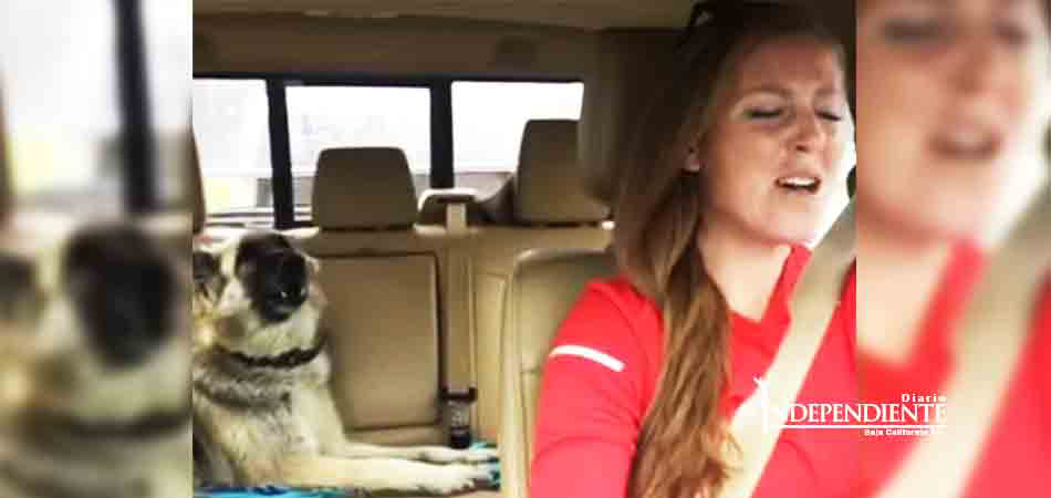 Perro 'canta' 'We are the champions' junto a su dueña