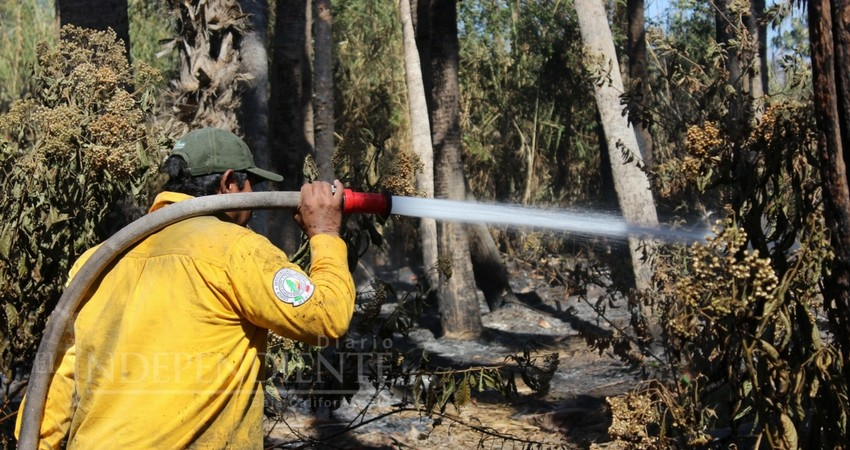 Piden a ciudadanos mantenerse fuera del estero