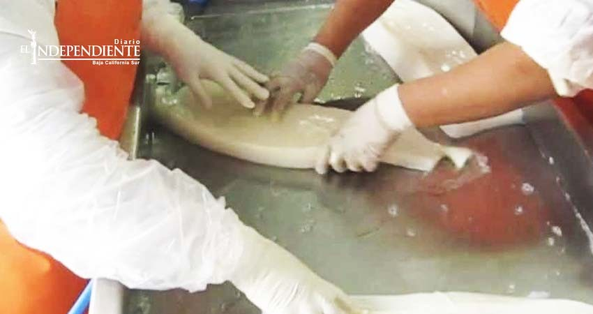 Tardaron un año en traducir a coreano demanda de extrabajadoras