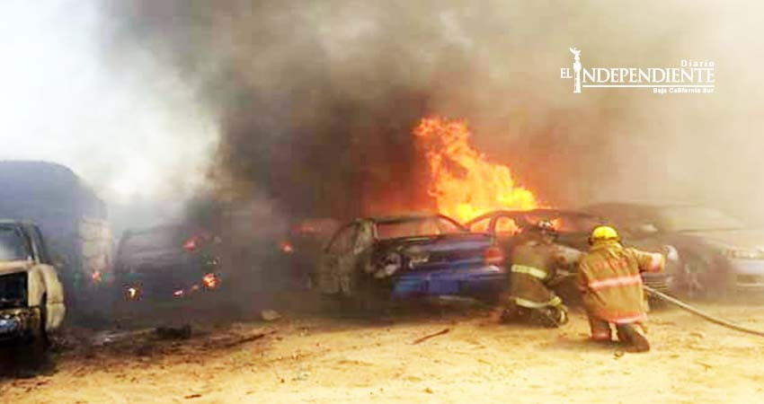 Incendio en corralón de CSL arrasa con más de 300 vehículos 