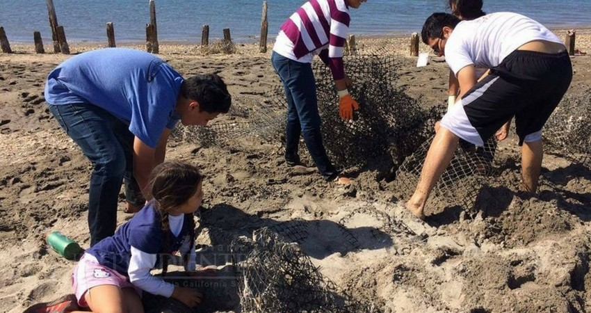 Jazz para arrecifes y manglares