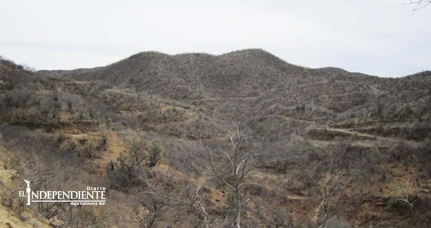 Realizan 3 empresas mineras exploraciones en zona rural de La Paz
