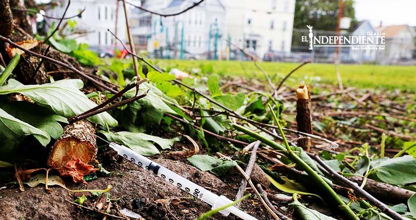 México vive caos por avidez de heroína en EU: The Washington Post