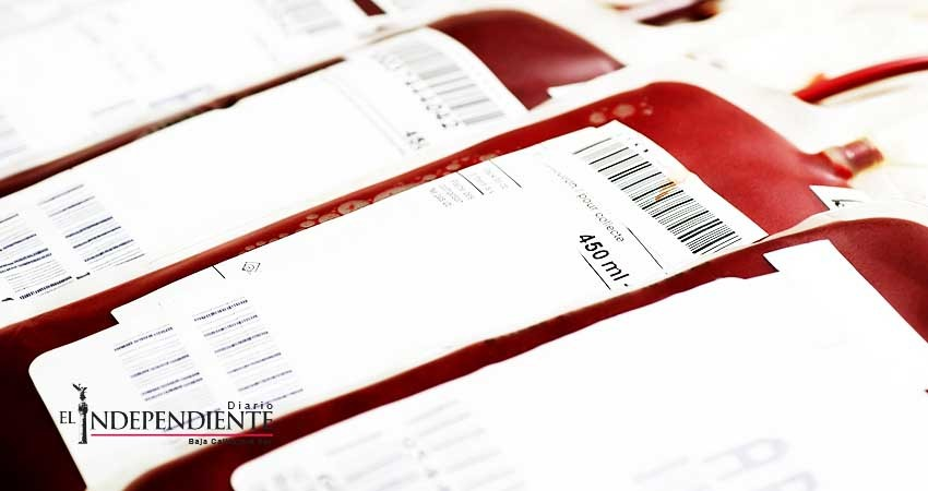Continúan bajos los porcentajes de donación altruista de sangre en BCS