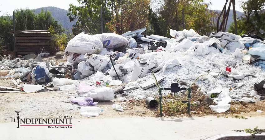Hasta 6 toneladas de basura son recogidas en tiraderos clandestinos 