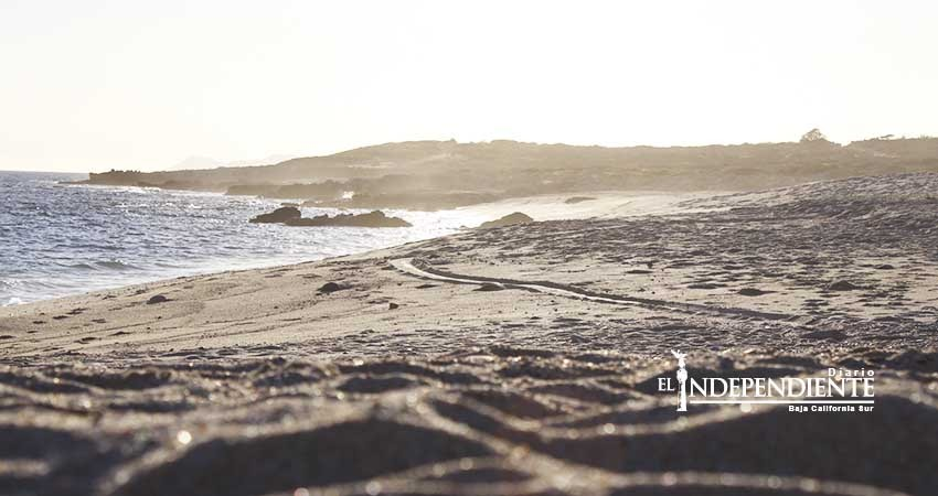 Pide JEC poner en desuso hasta 13 kilómetros de brechas