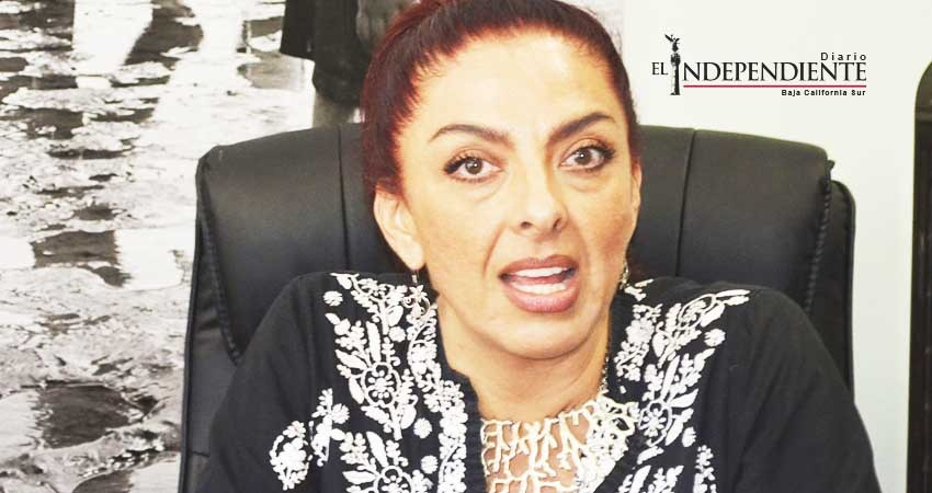 Un “dedazo” empresa elegida para estudio del transporte