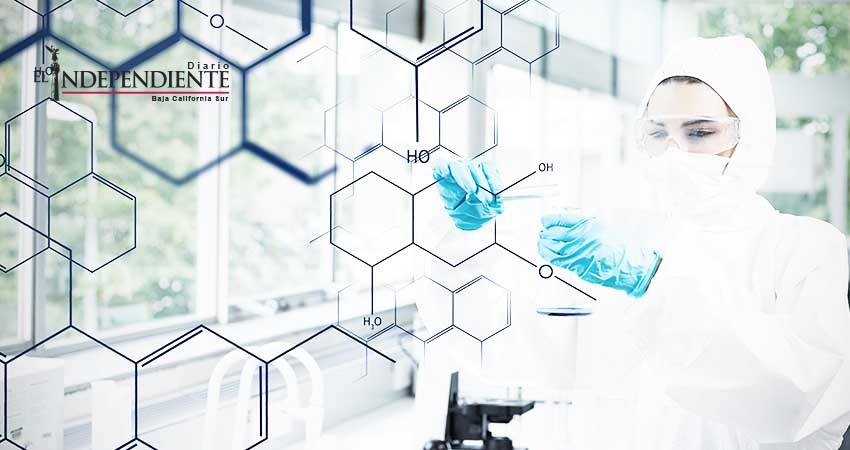 Apuestan jóvenes emprendedores por negocios de alto impacto