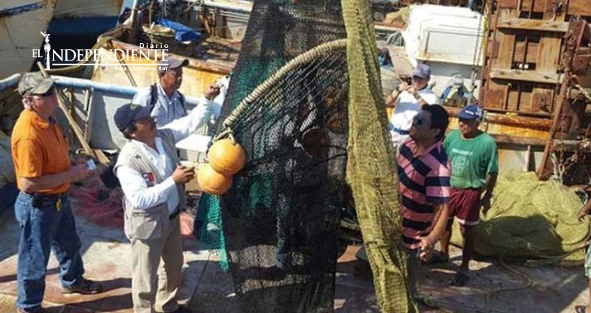 Cumple México con protección a tortugas en pesca de camarones