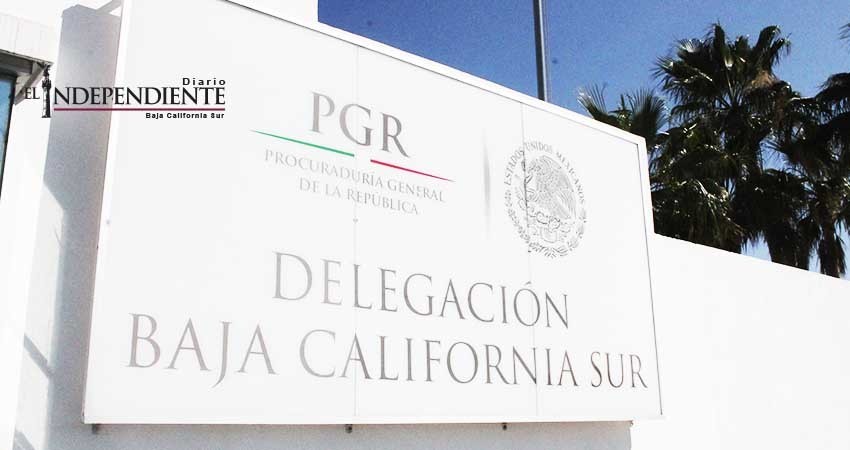 Inician investigación contra quien o quienes resulten responsables por el aseguramiento de cocaína