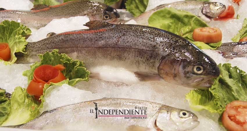 Apoya SE a productores locales que surtan demanda de la industria turística local 