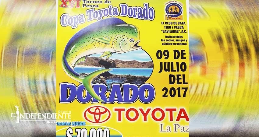 Todo listo para el Torneo de pesca de Dorado del Club Gavilanes