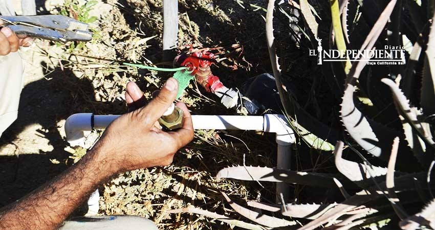 OOMSAPAS La Paz  se cobra lo que la Ley de Aguas faculta: Rieke Romero