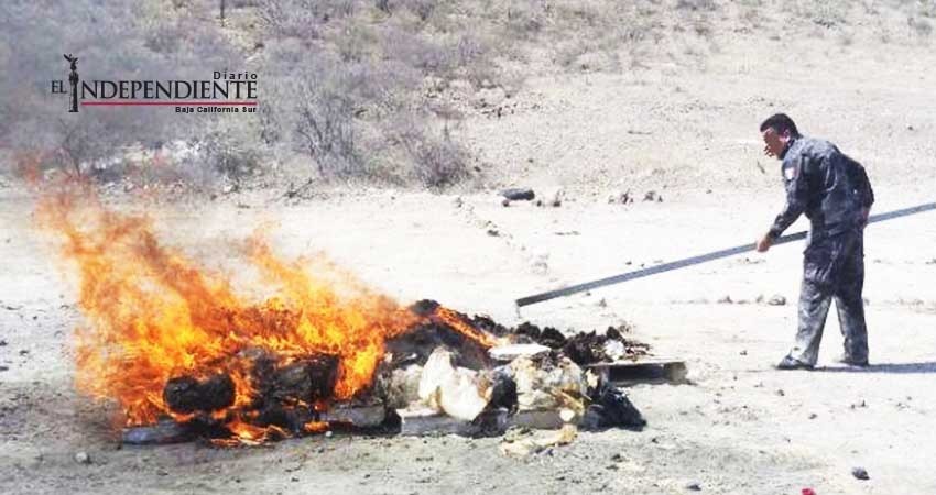 Incinera PGR de BCS más de doscientos kilogramos de narcóticos 