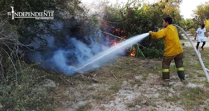 Superficie afectada en el estero fue menor a una hectárea: PC 