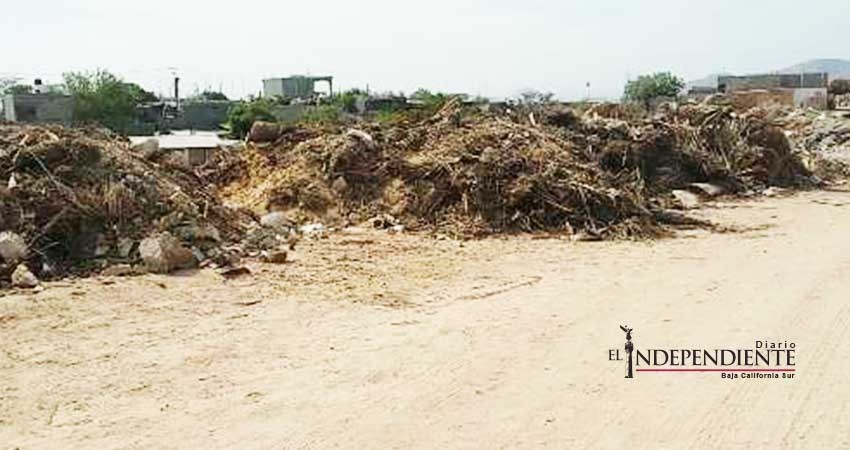 Denuncian vecinos que el arroyo cercano a la colonia Valle del Cabo está siendo rellenado con basura