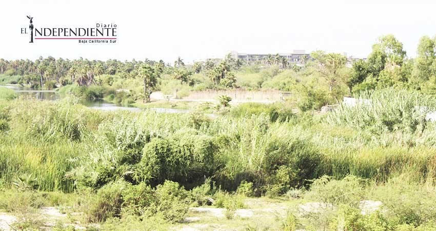 EyMA exhorta a la población a no encender fogatas para cocinar en el Estero