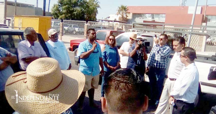 Protestan guías turísticos contra requisitos de convocatoria por Tiburón Ballena 
