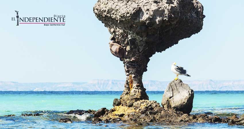 Playas de La Paz  en óptimas condiciones para su disfrute