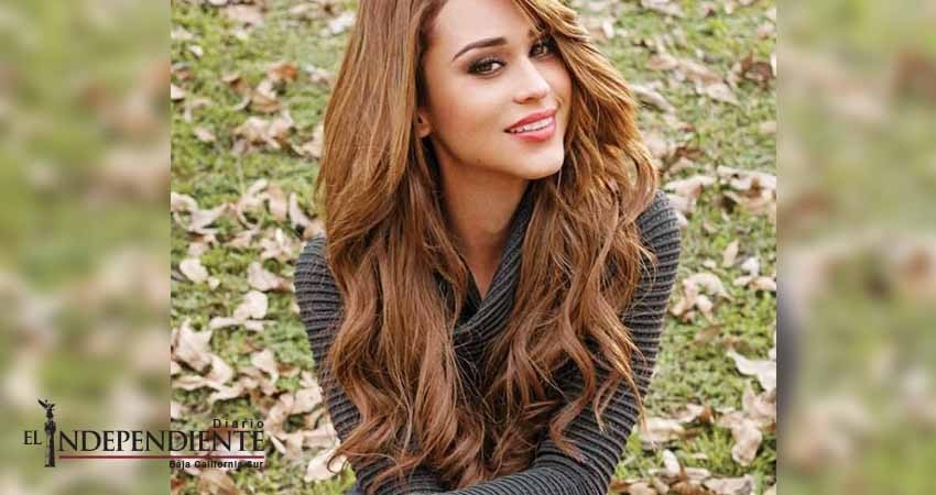 Cambia el clima por tiburones