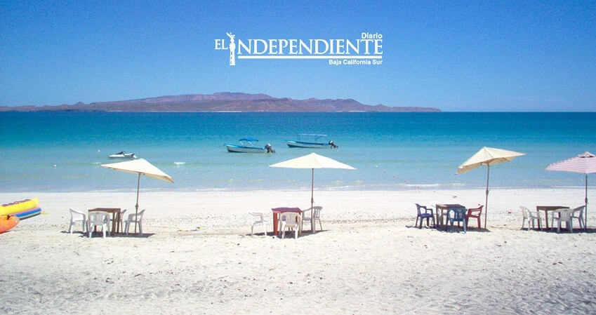 "Tecolote, muy difícil que obtenga una Blue Flag": Zofemat