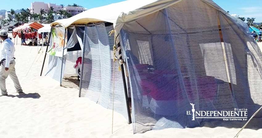 Sanciona PROFEPA establecimientos comerciales de CSL