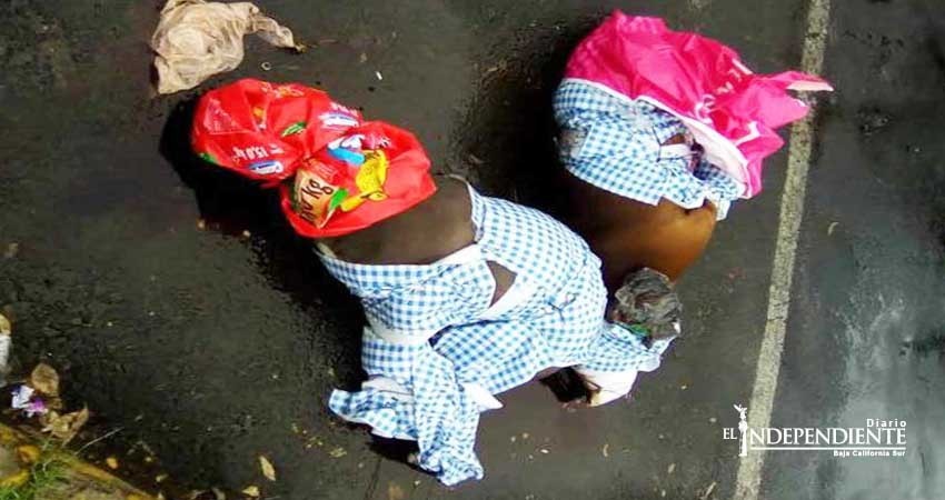 Torturan y ejecutan al estilo ‘narco’ a 2 pitbulls en Coyoacán