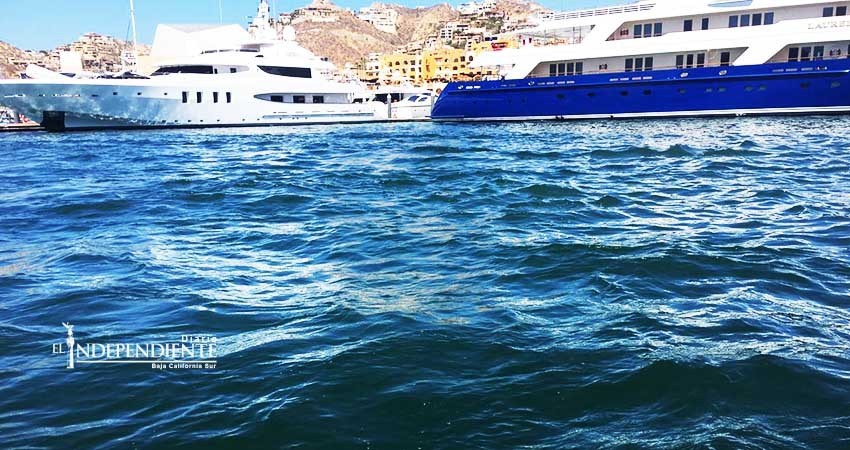 Continúa en duda existencia de heces fecales en costas cabeñas