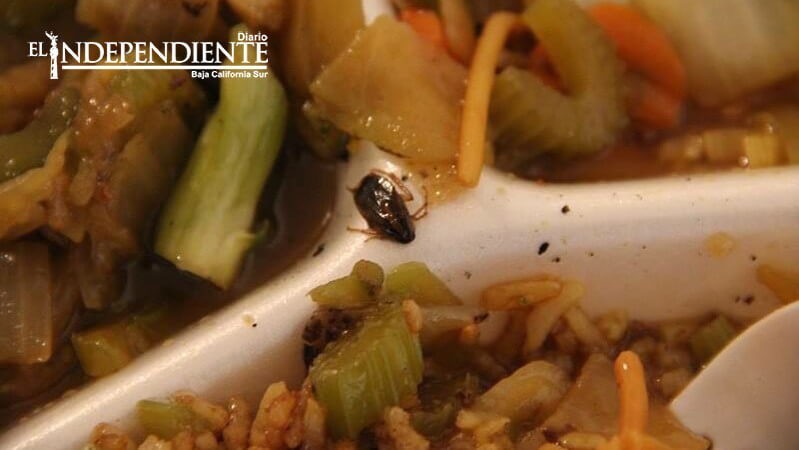 Compró en una plaza de La Paz comida china y le salió una cucaracha