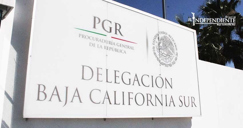 PGR inicia carpeta de investigación contra una persona detenida con droga y cartuchos