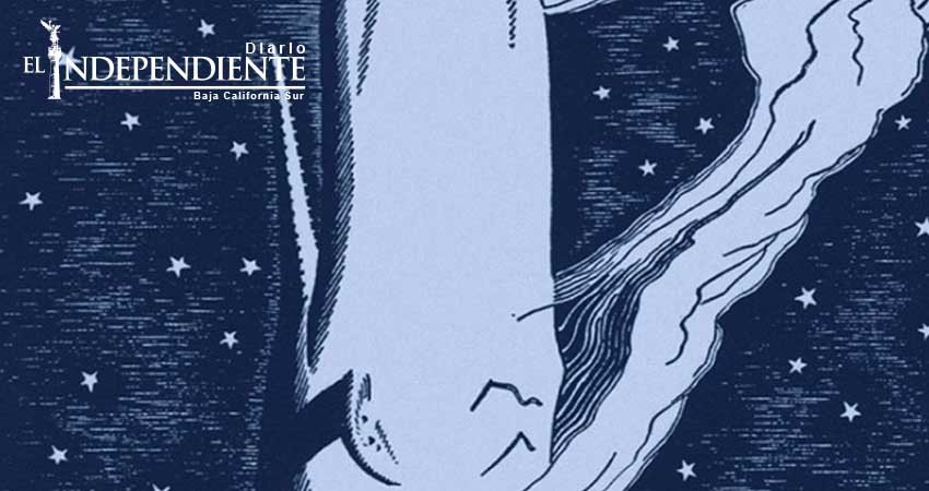 A 198 años del nacimiento del autor de ‘Moby Dick’