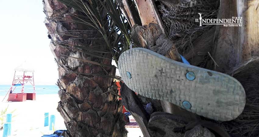 Playa Palmilla, un día después de la tragedia