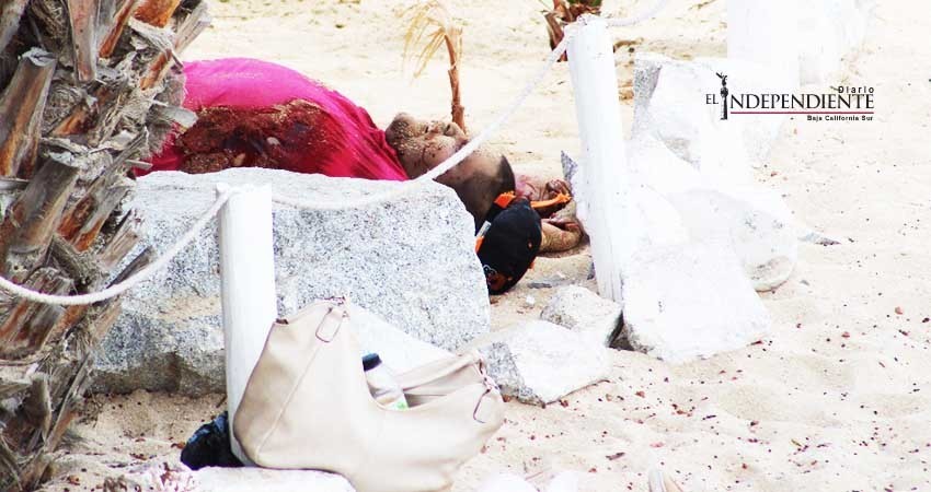 Autoridades deben planear nuevas estrategias para la seguridad de Los Cabos