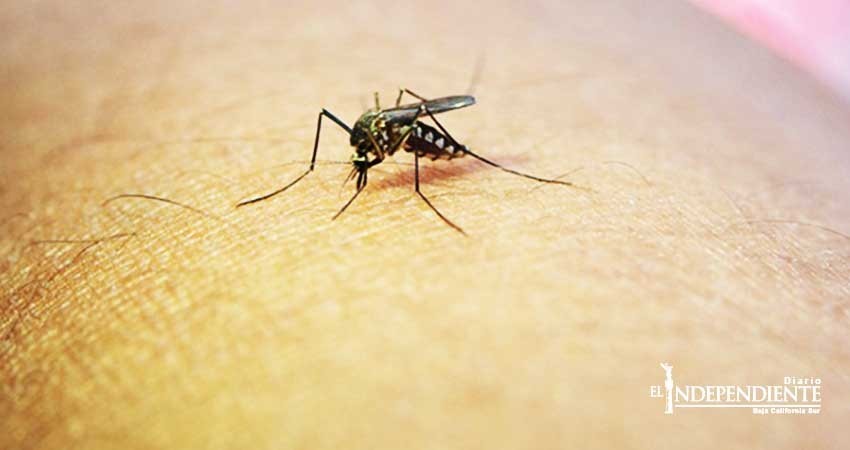 México y Centroamérica están cerca de erradicar la malaria