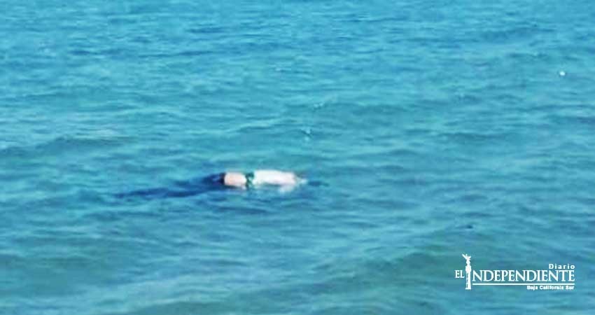 Encuentran un hombre sin vida flotando en Playa El Comitán