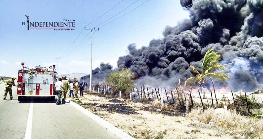 Registra BCS 13 incendios forestales en el 2017