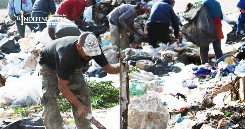 Llegan “pepenadores” a BCS como agricultores y constructores