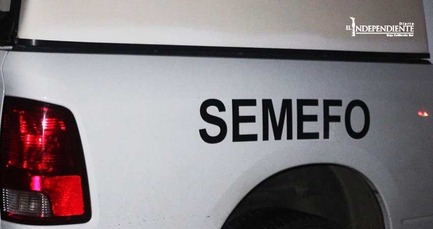 Localizan restos humanos en el municipio de Comondú