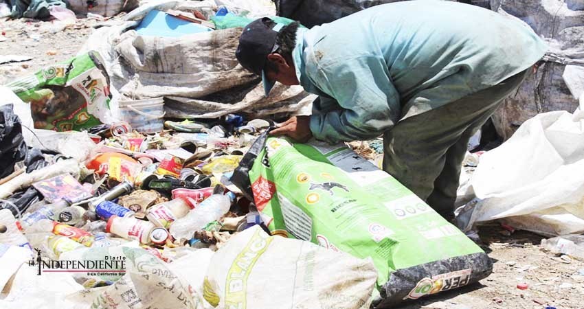 Necesarias políticas públicas para formalizar a los “pepenadores”: STPS