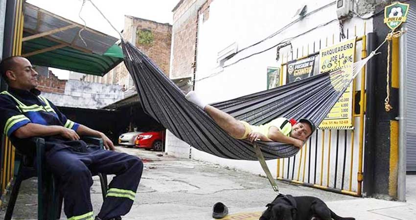 Holgazanes del mundo: hoy es el Día de la Pereza