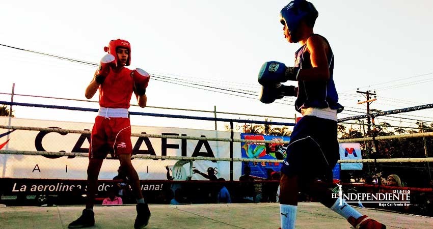 Realizará el IMD, peleas de fogueo en la Arena California