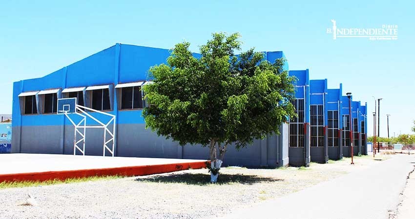 Denuncia diputado que entrenan perros de pelea en parque público