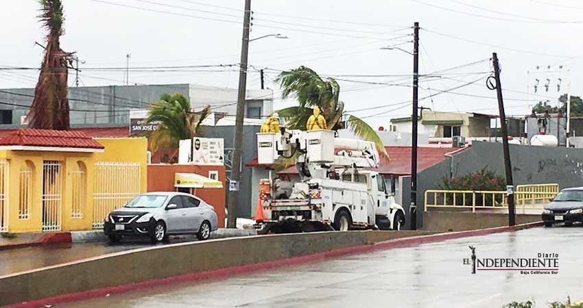 CFE trabaja en restablecer la energía eléctrica en Los Cabos