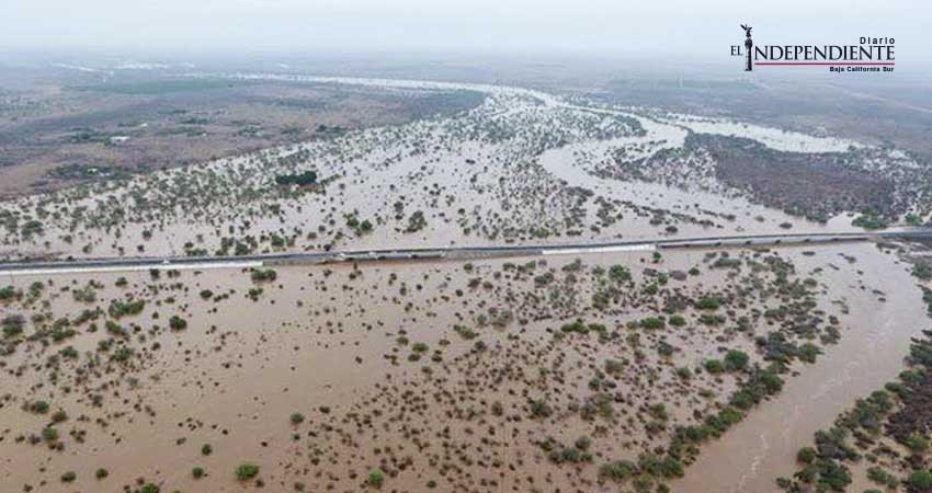 Tras “Lidia” Comondú registra daños en cultivos y pérdida de ganado