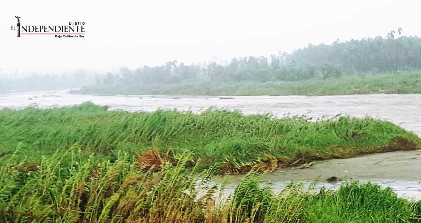 Posible que Estero de San José sea declarado como zona de desastre