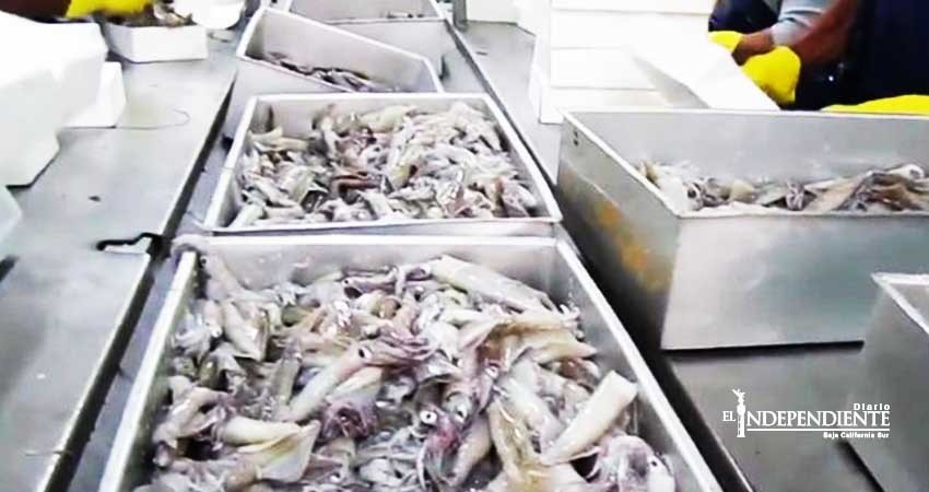 Sin solución el pago de empresas asiáticas a extrabajadoras de Santa Rosalía