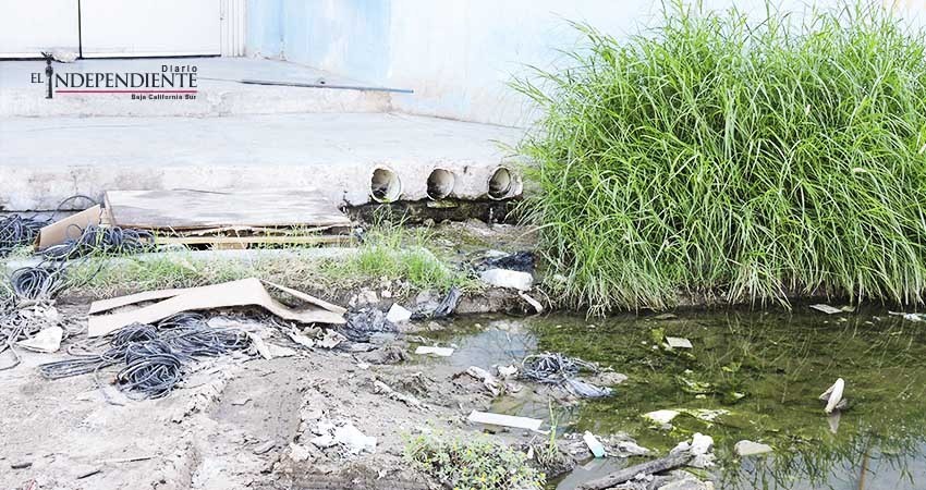 Tuberías de Cinepolis dejan charcos insalubres